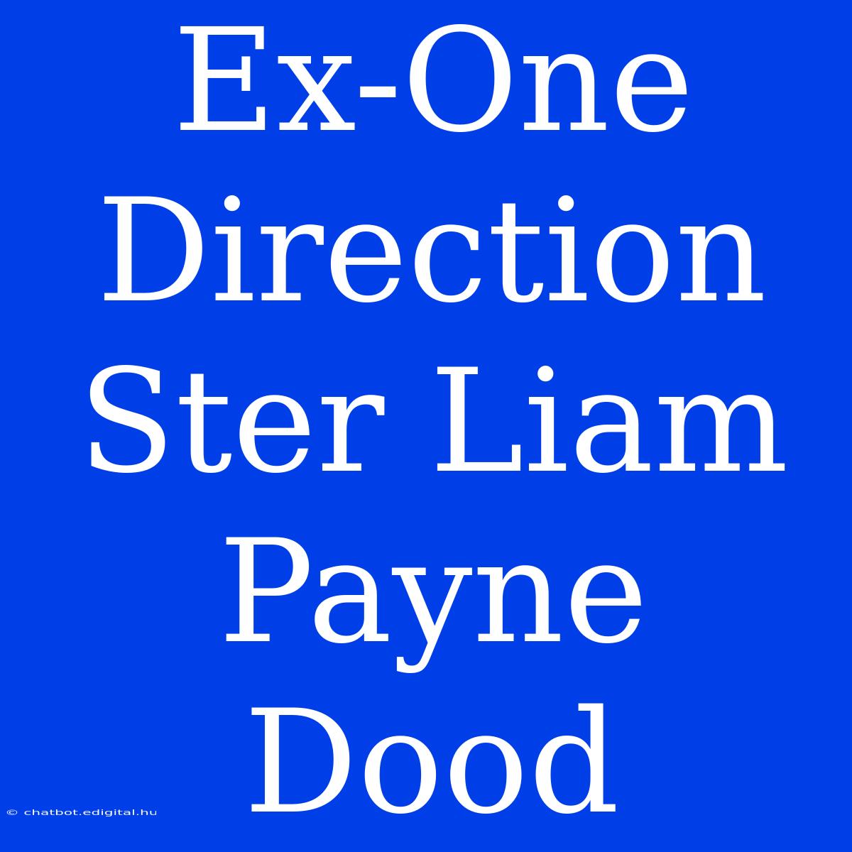 Ex-One Direction Ster Liam Payne Dood