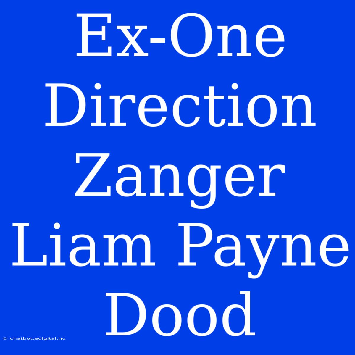 Ex-One Direction Zanger Liam Payne Dood