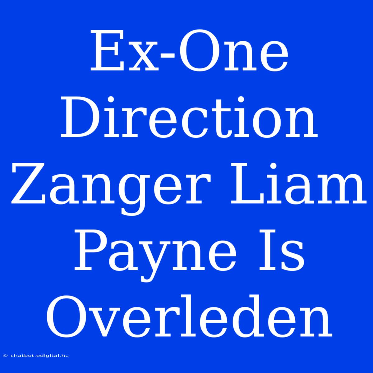 Ex-One Direction Zanger Liam Payne Is Overleden