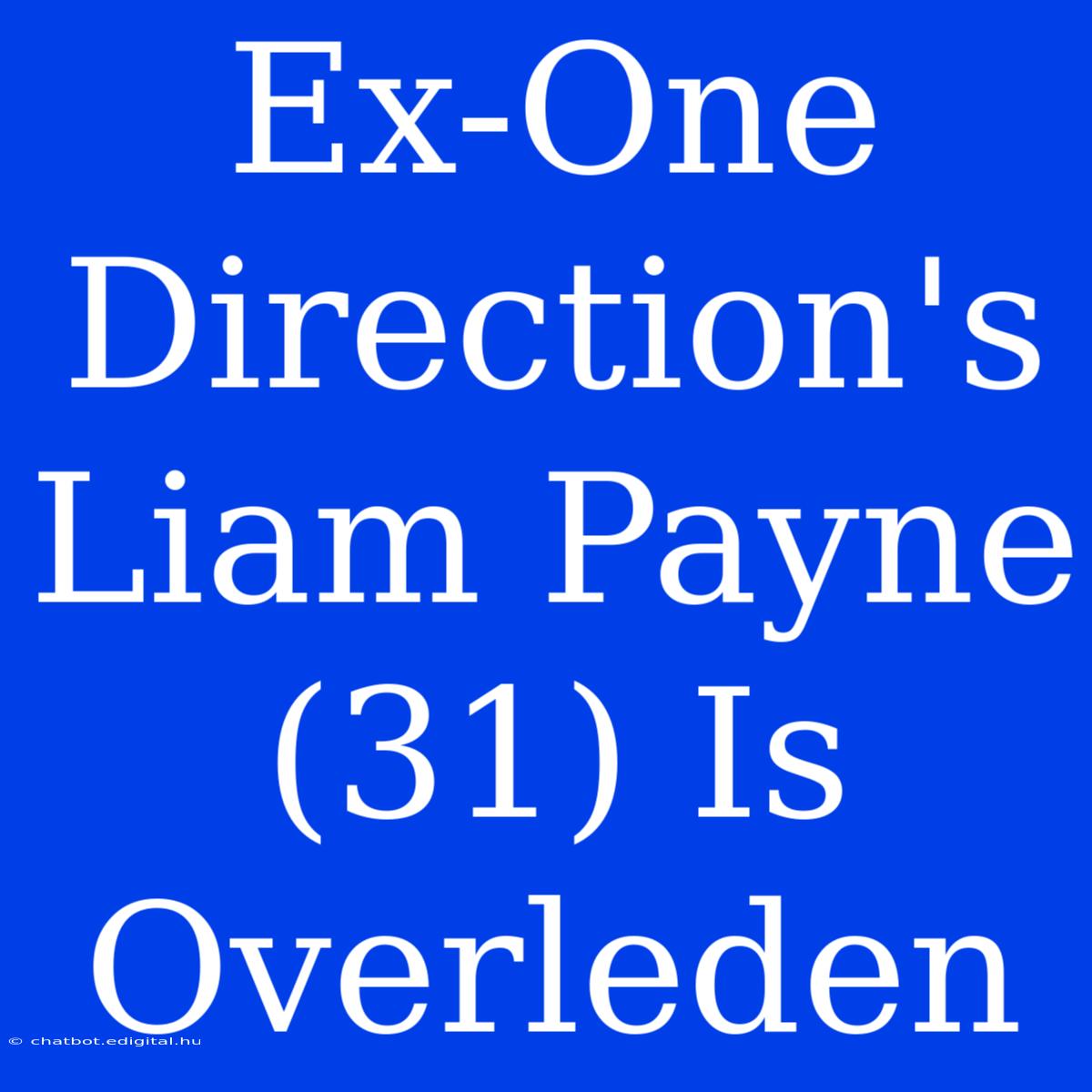 Ex-One Direction's Liam Payne (31) Is Overleden