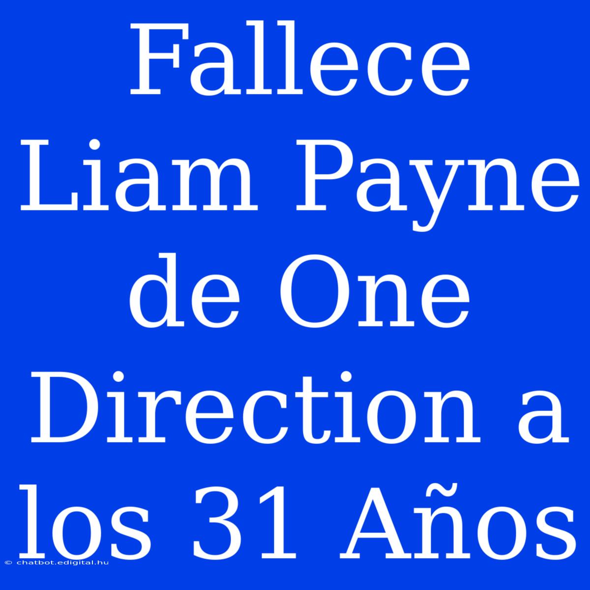 Fallece Liam Payne De One Direction A Los 31 Años