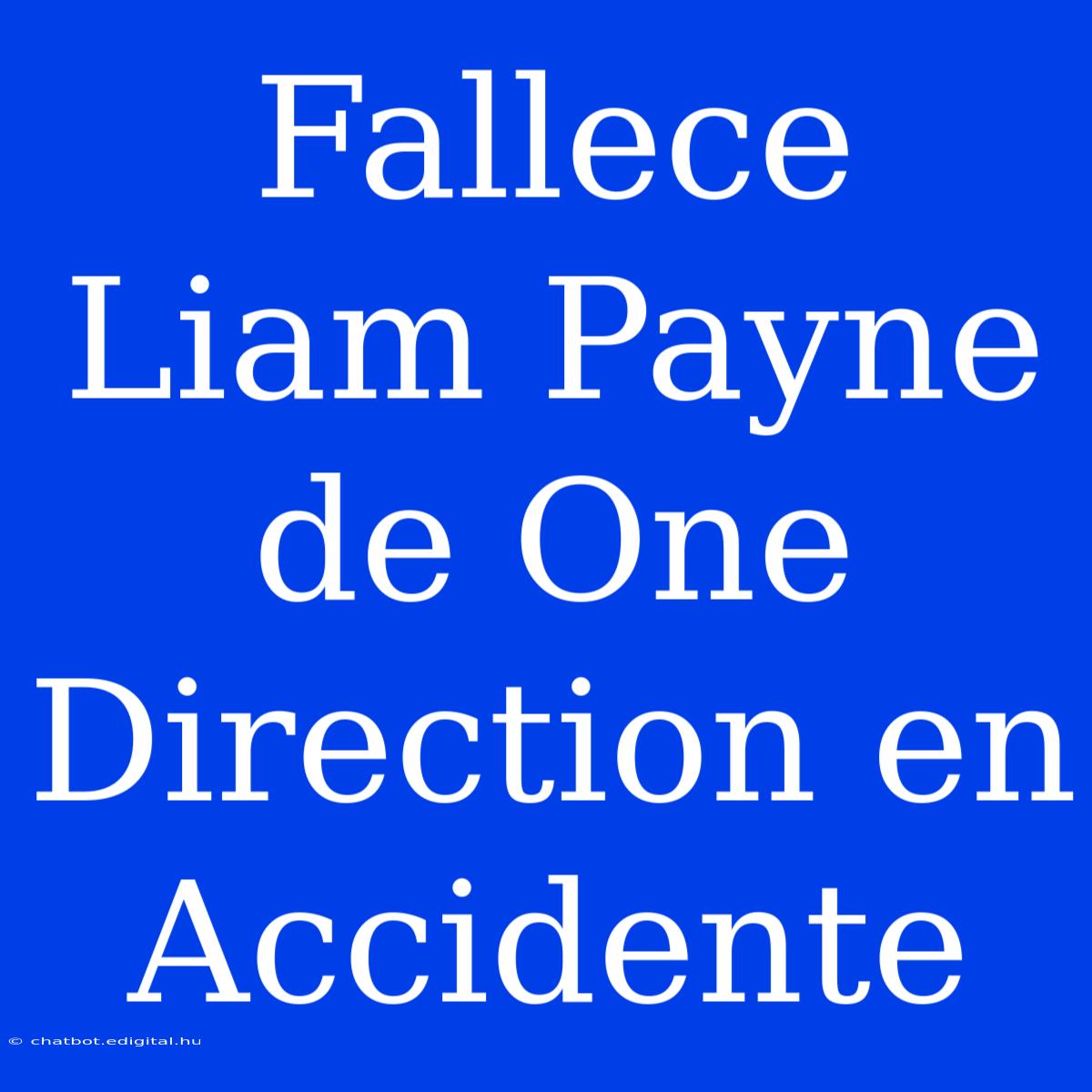 Fallece Liam Payne De One Direction En Accidente