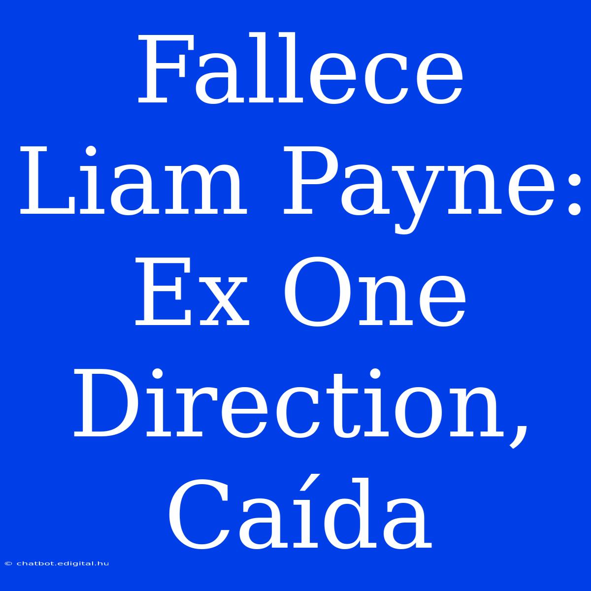 Fallece Liam Payne: Ex One Direction, Caída