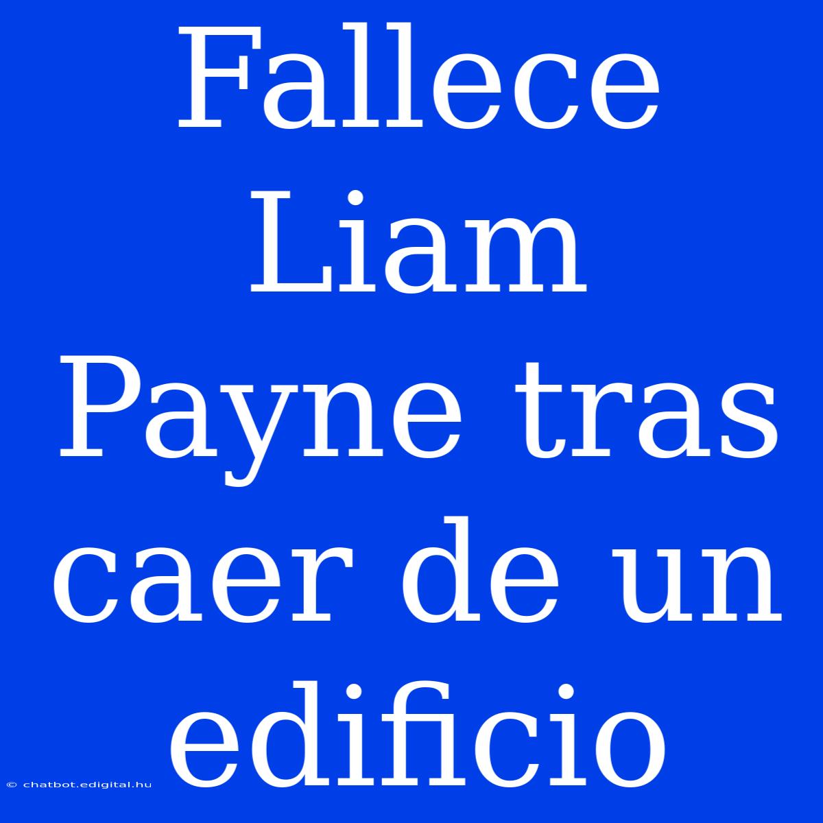 Fallece Liam Payne Tras Caer De Un Edificio