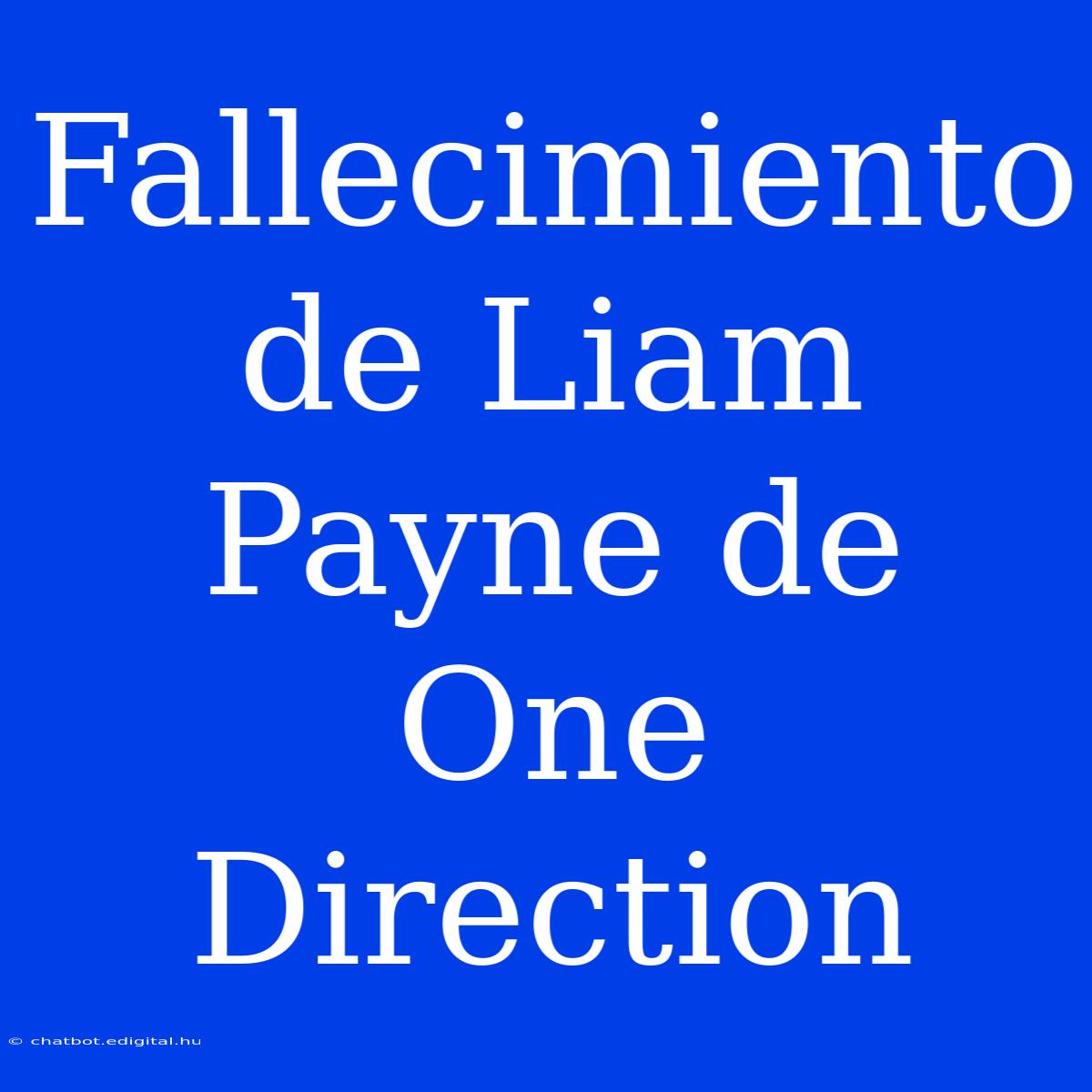 Fallecimiento De Liam Payne De One Direction 