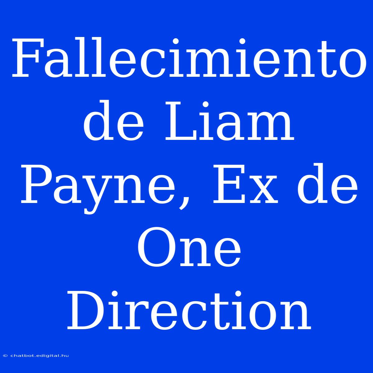 Fallecimiento De Liam Payne, Ex De One Direction