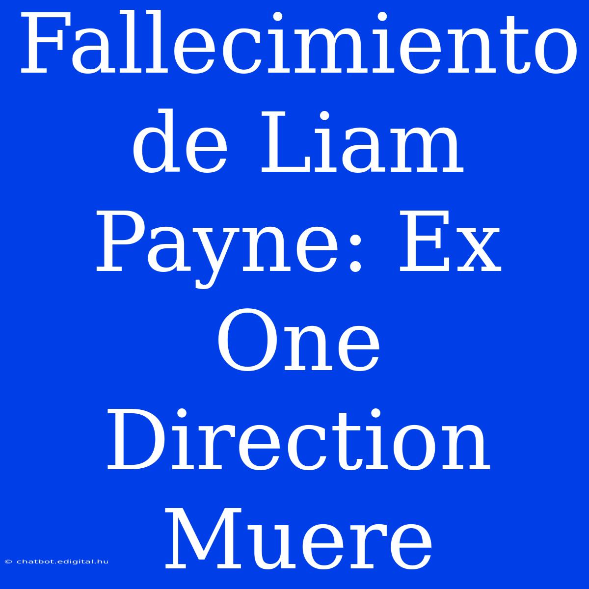 Fallecimiento De Liam Payne: Ex One Direction Muere