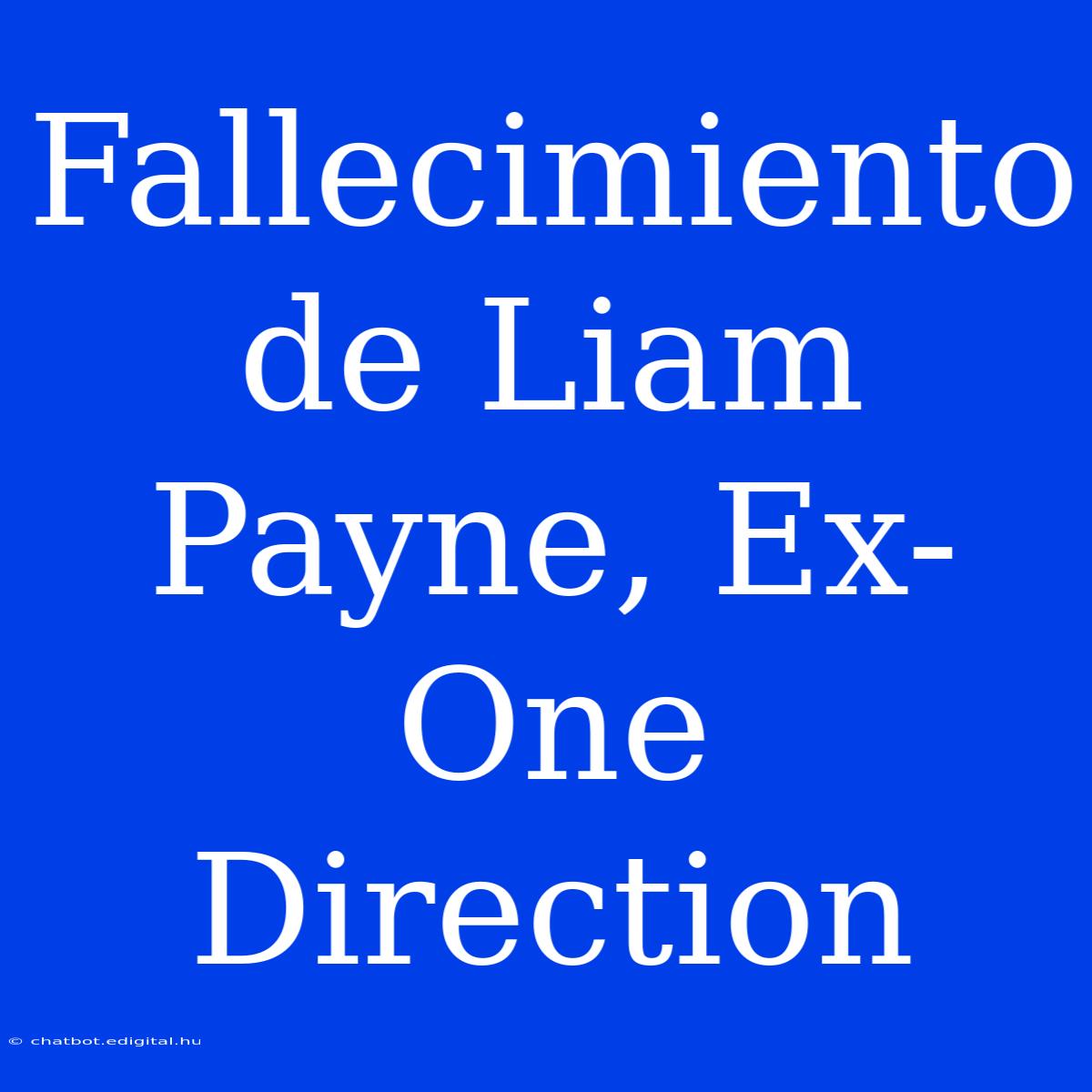 Fallecimiento De Liam Payne, Ex-One Direction