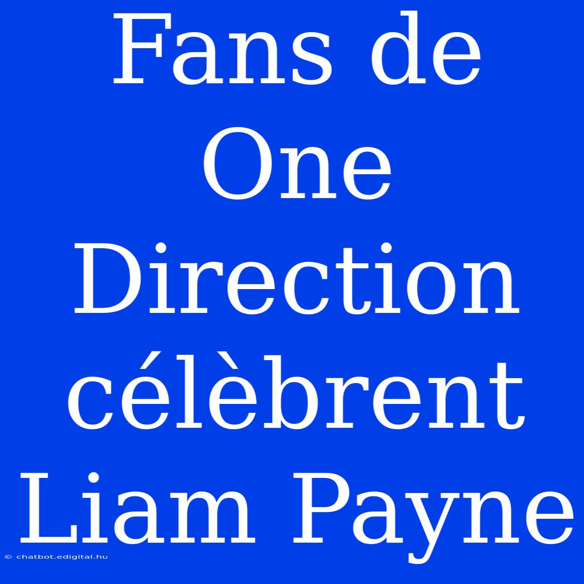 Fans De One Direction Célèbrent Liam Payne