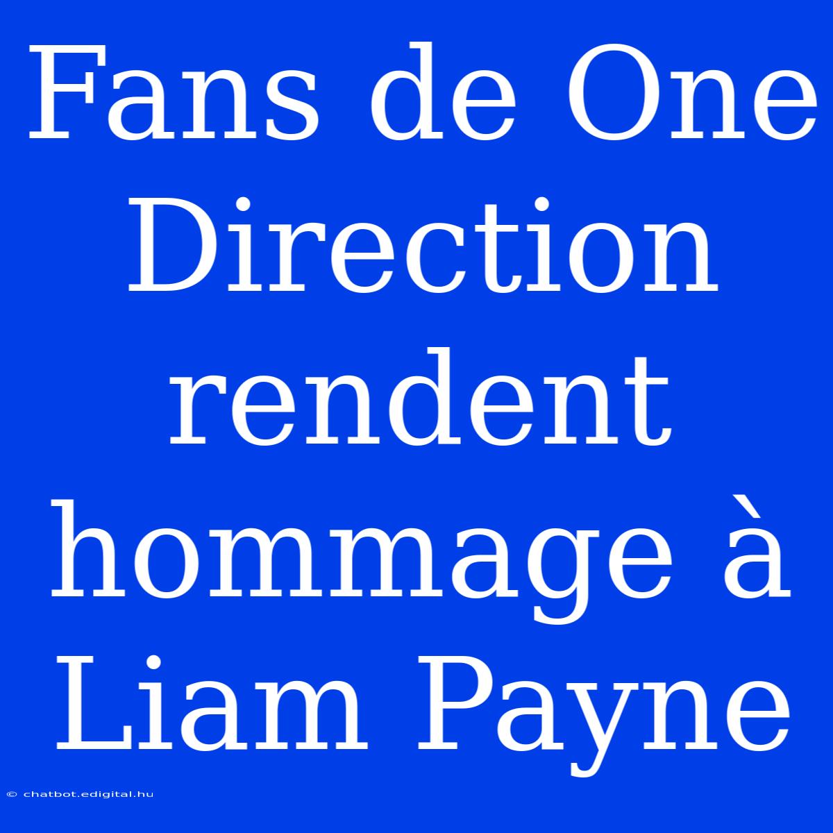 Fans De One Direction Rendent Hommage À Liam Payne