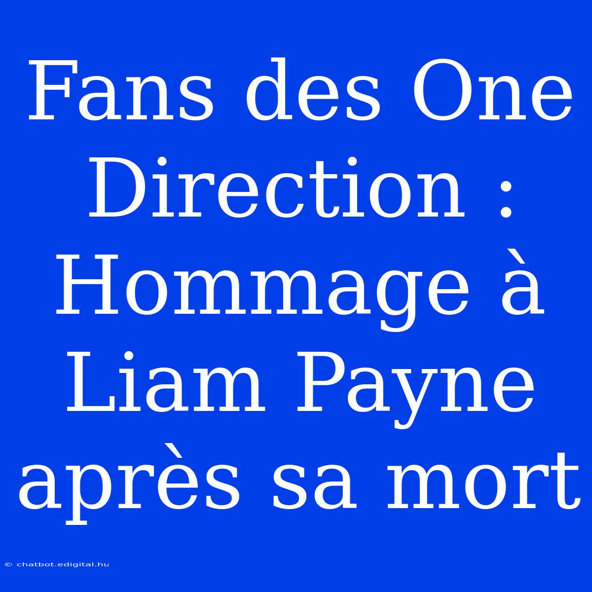 Fans Des One Direction : Hommage À Liam Payne Après Sa Mort 