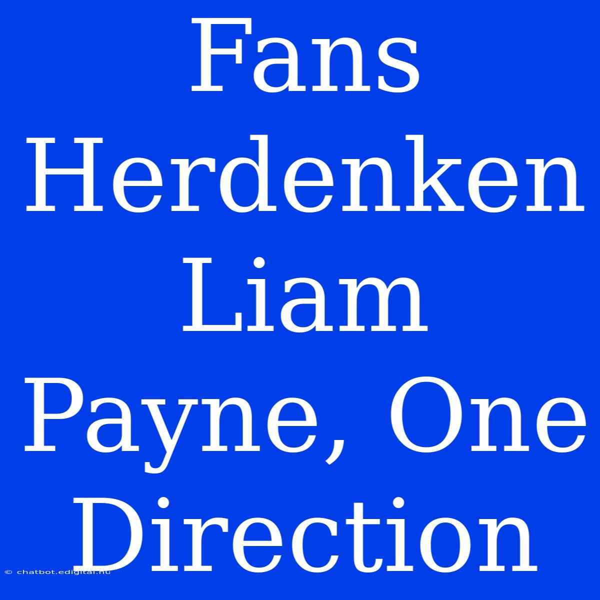 Fans Herdenken Liam Payne, One Direction