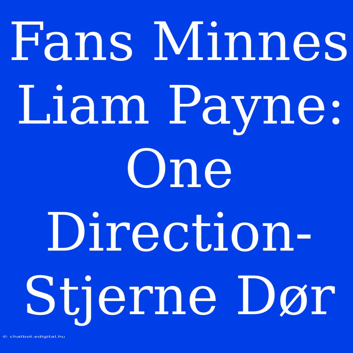 Fans Minnes Liam Payne: One Direction-Stjerne Dør