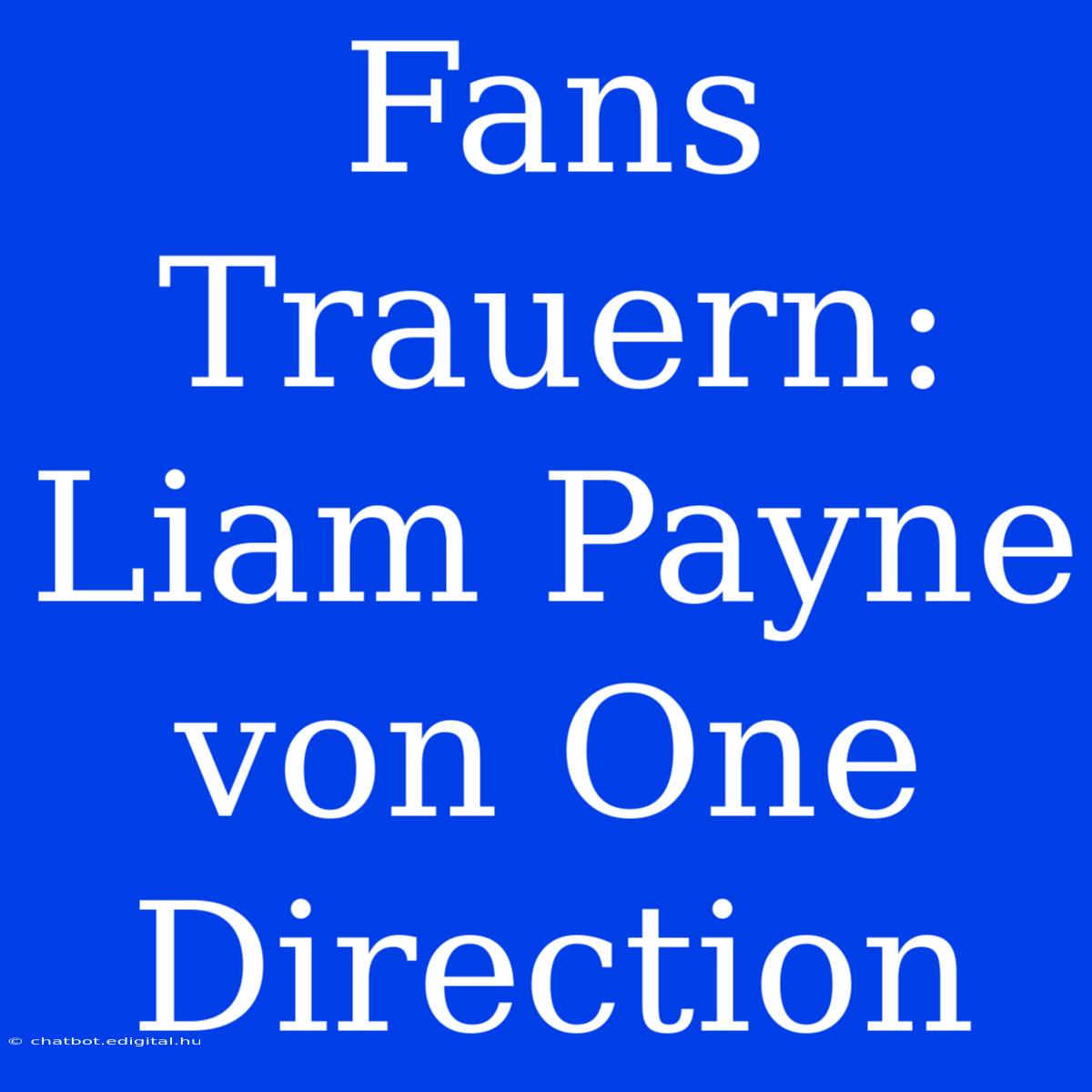 Fans Trauern: Liam Payne Von One Direction