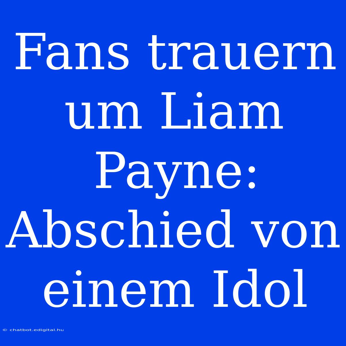 Fans Trauern Um Liam Payne: Abschied Von Einem Idol 