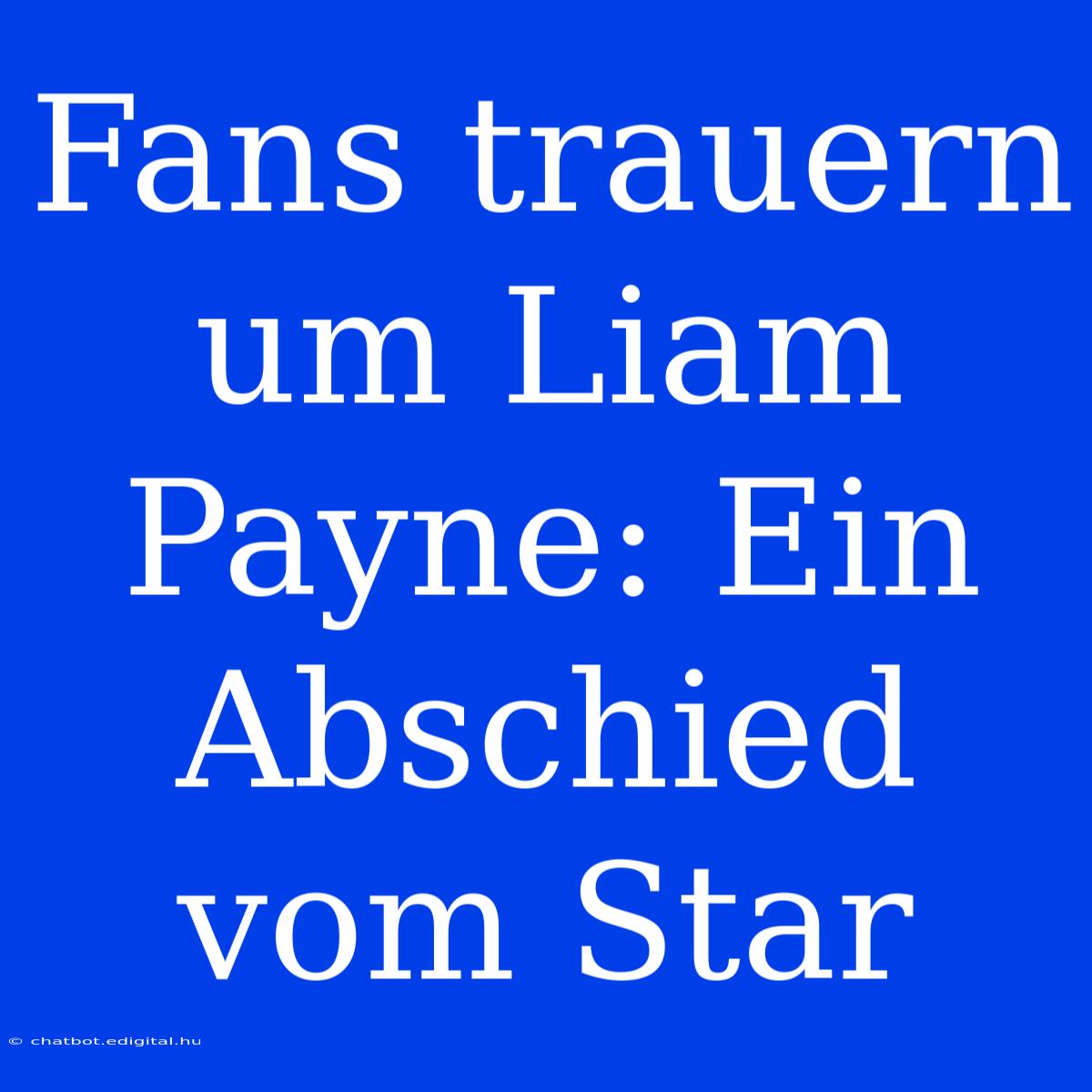 Fans Trauern Um Liam Payne: Ein Abschied Vom Star