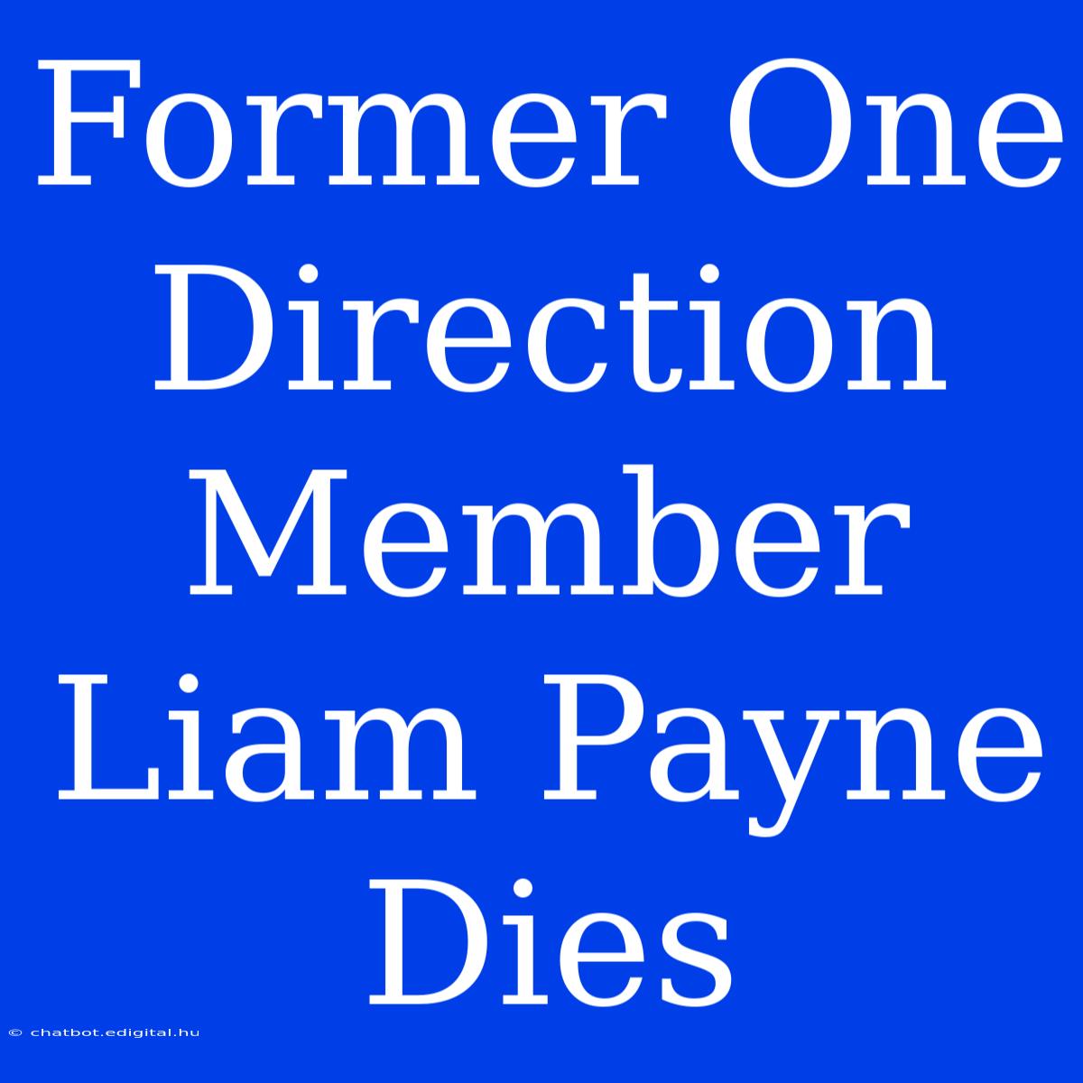 Former One Direction Member Liam Payne Dies