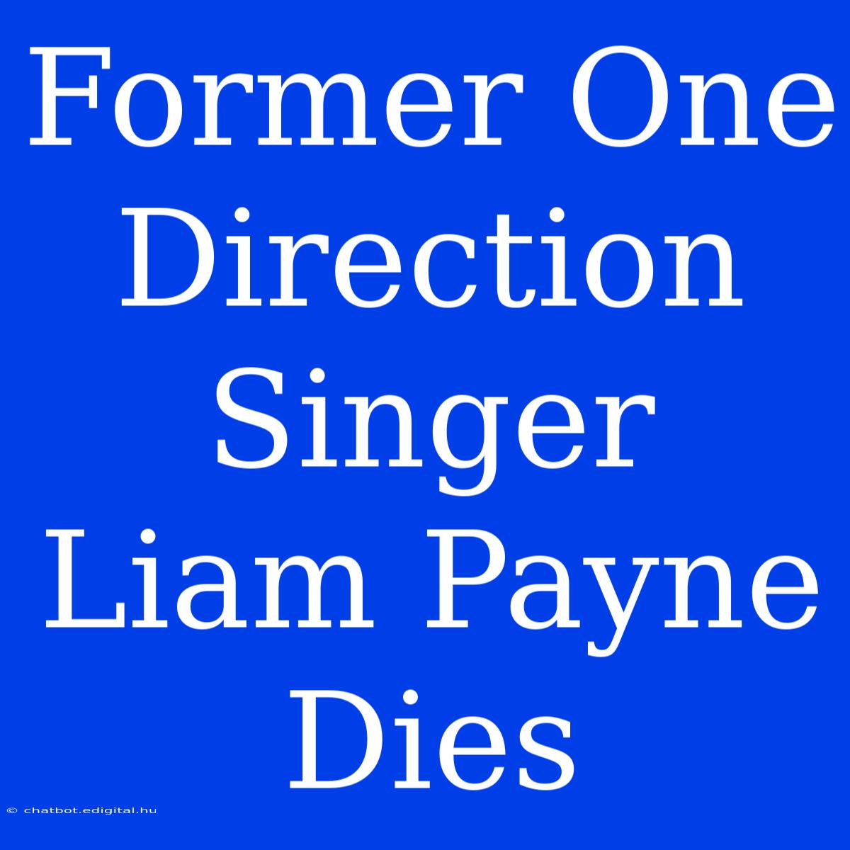 Former One Direction Singer Liam Payne Dies