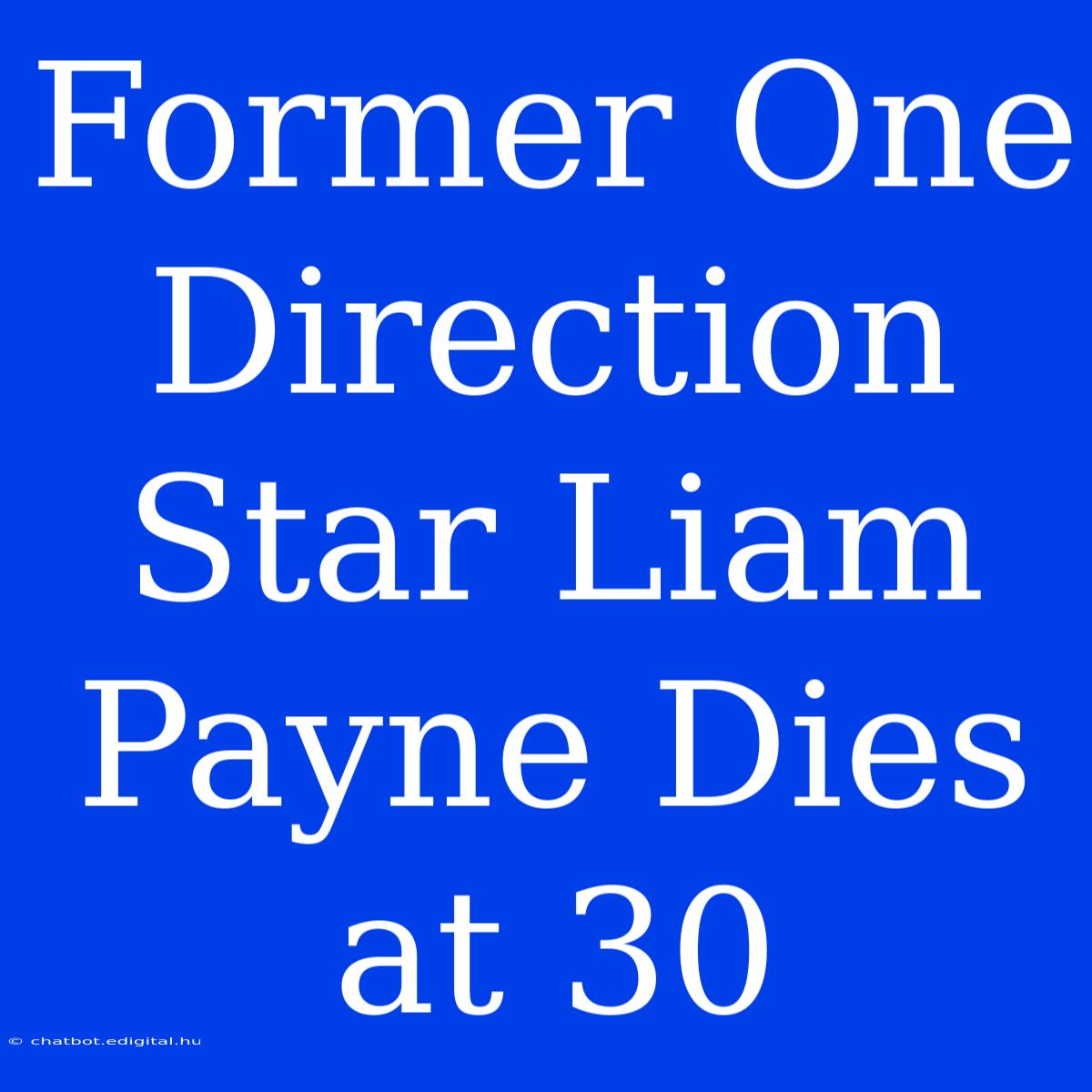 Former One Direction Star Liam Payne Dies At 30 