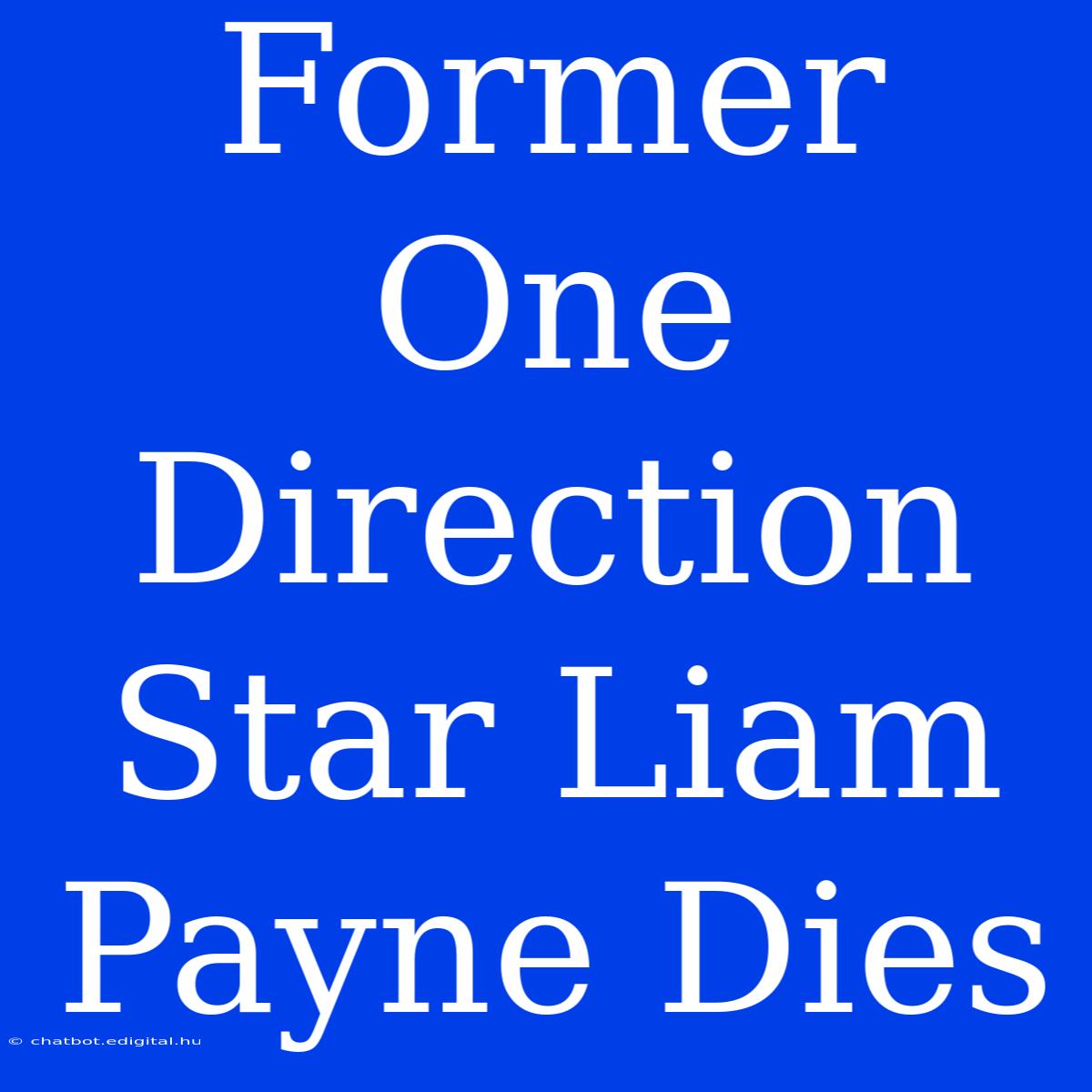 Former One Direction Star Liam Payne Dies  