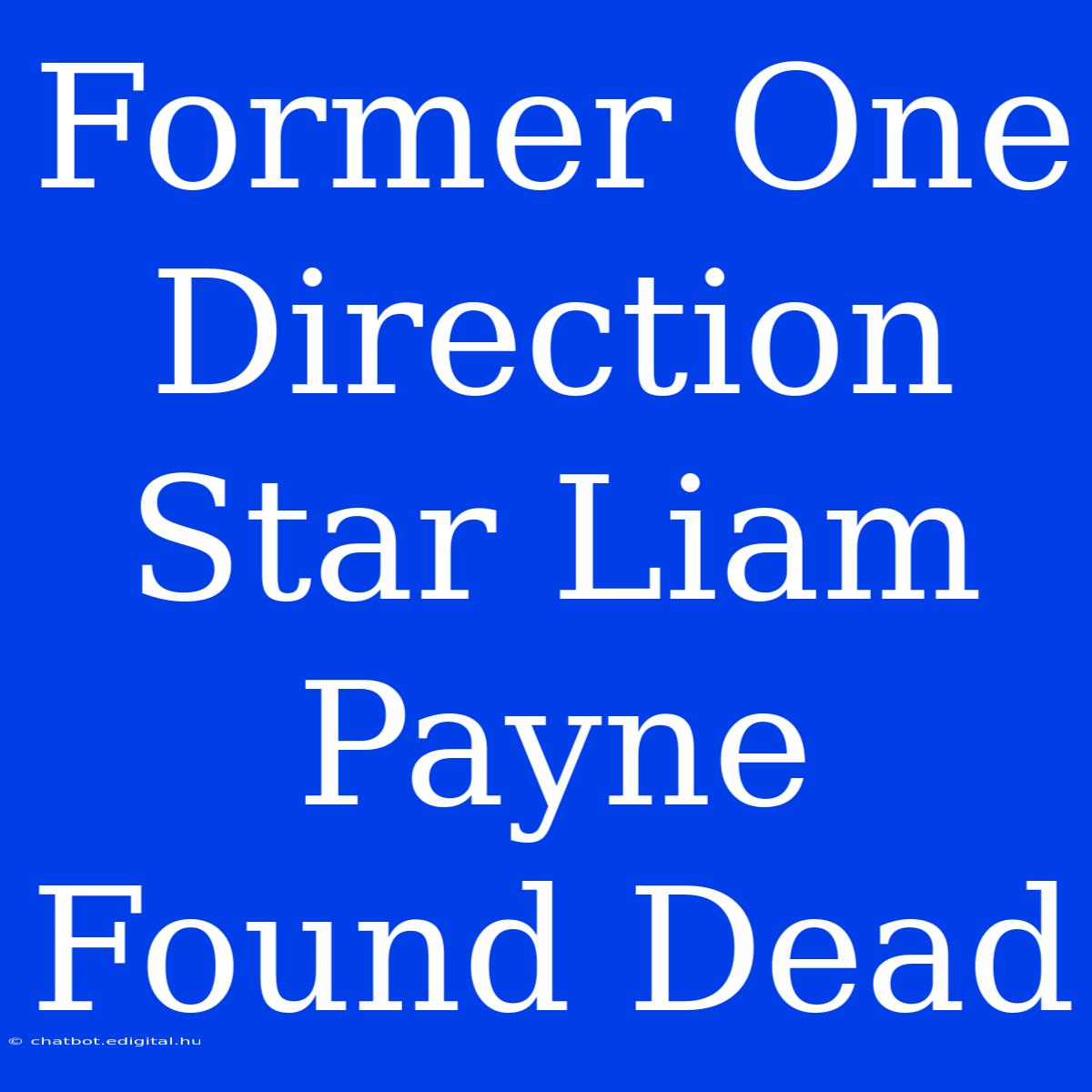 Former One Direction Star Liam Payne Found Dead