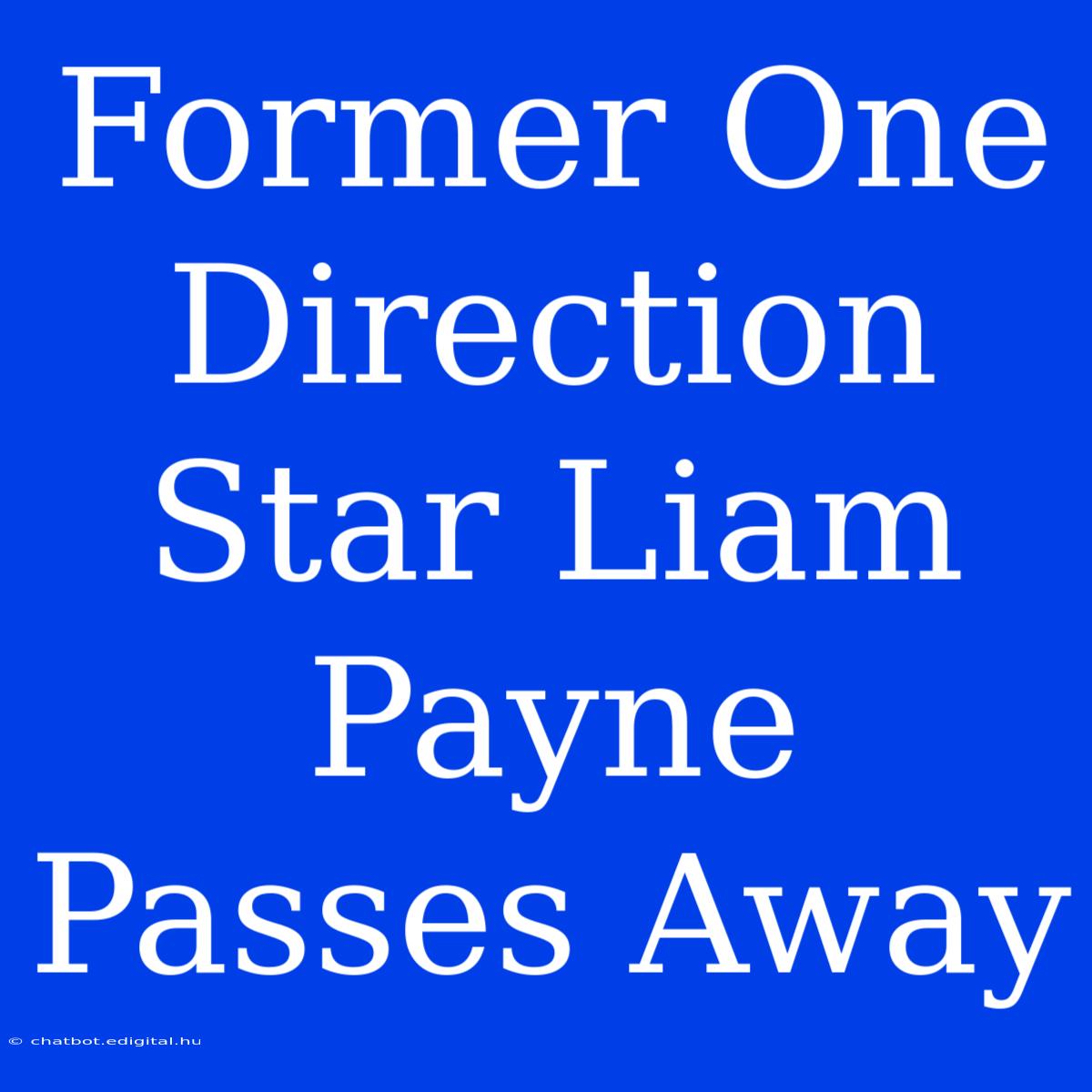 Former One Direction Star Liam Payne Passes Away