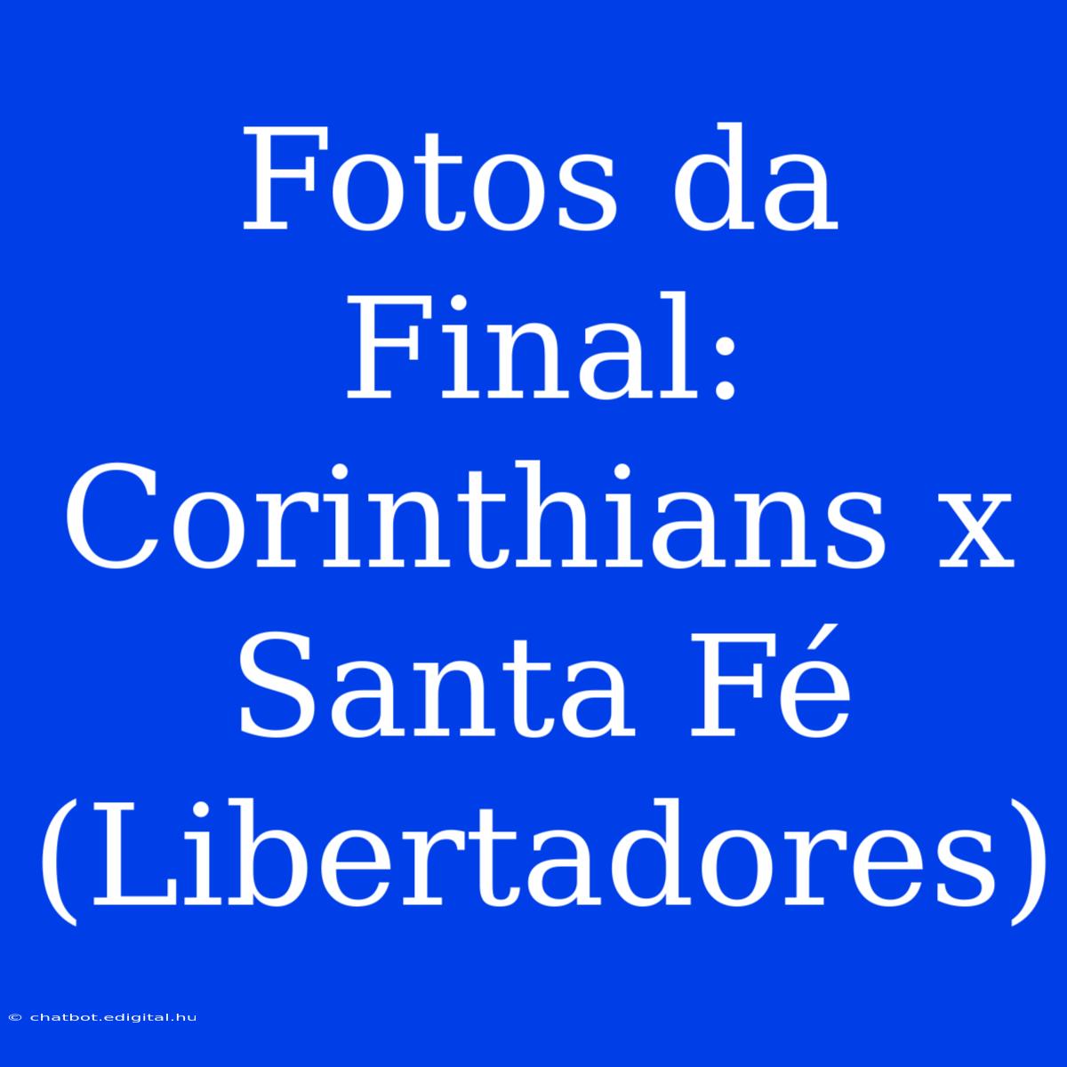 Fotos Da Final: Corinthians X Santa Fé (Libertadores)