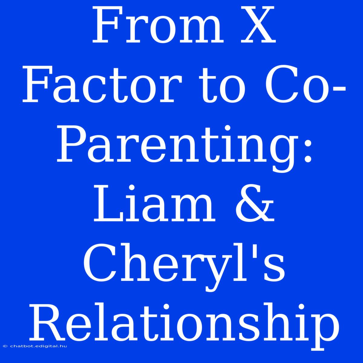 From X Factor To Co-Parenting: Liam & Cheryl's Relationship