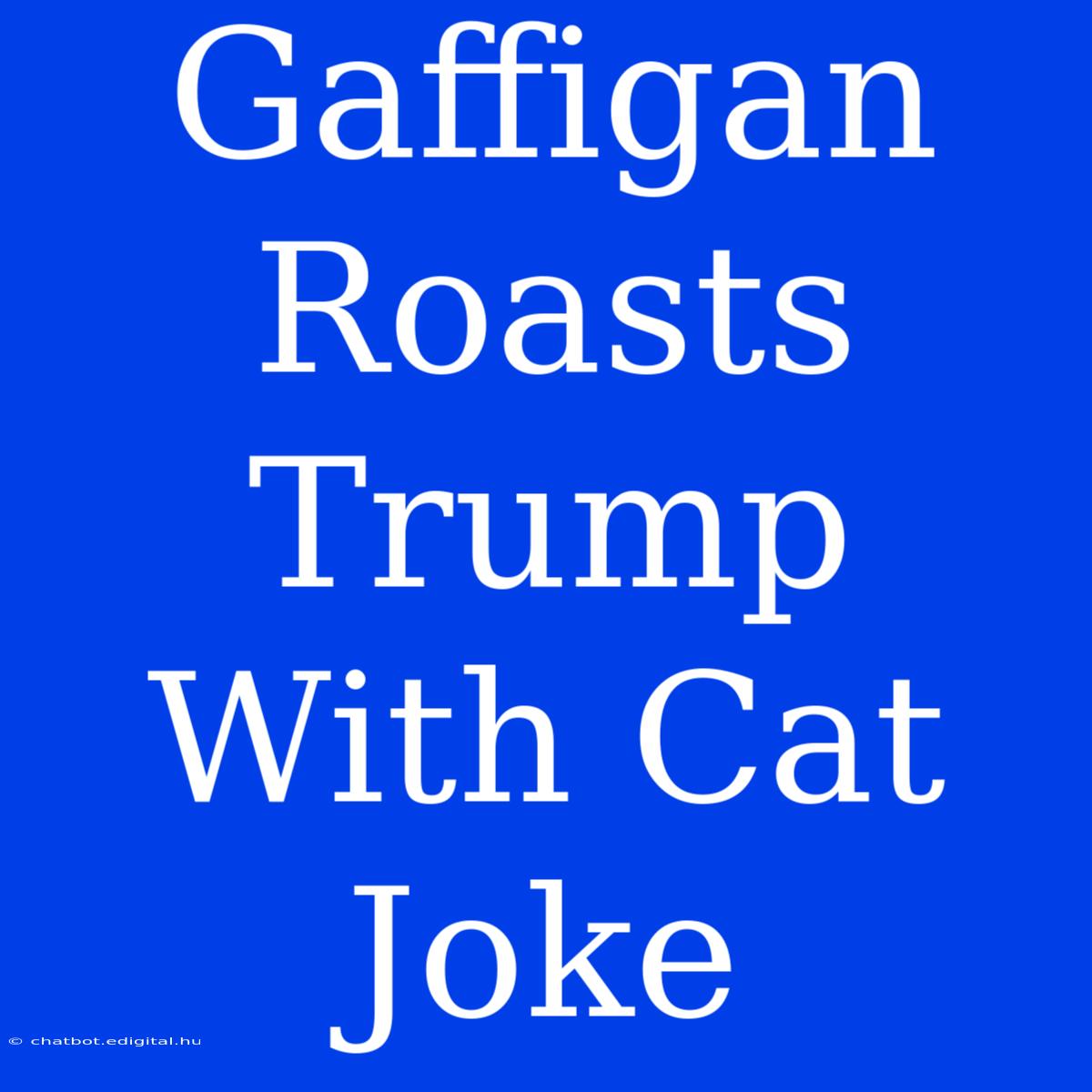 Gaffigan Roasts Trump With Cat Joke