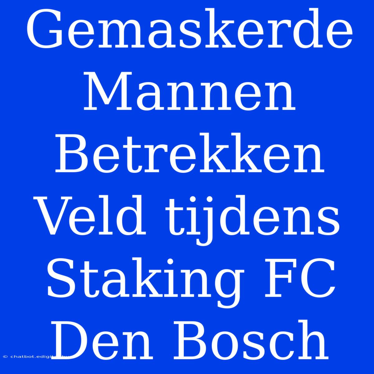 Gemaskerde Mannen Betrekken Veld Tijdens Staking FC Den Bosch 