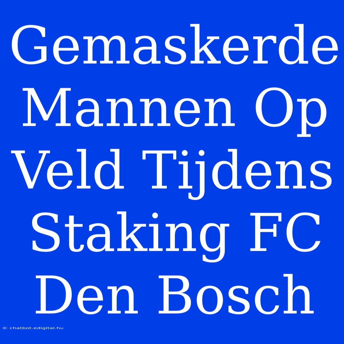 Gemaskerde Mannen Op Veld Tijdens Staking FC Den Bosch