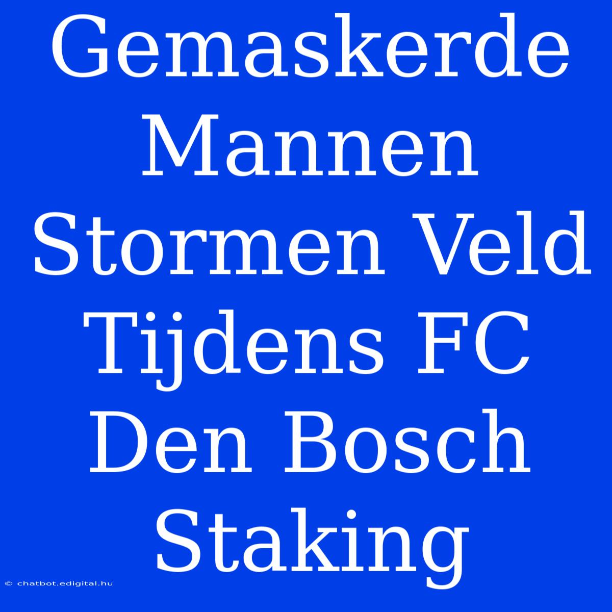 Gemaskerde Mannen Stormen Veld Tijdens FC Den Bosch Staking