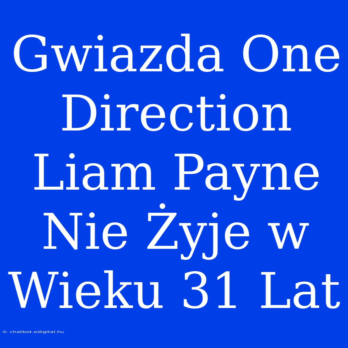 Gwiazda One Direction Liam Payne Nie Żyje W Wieku 31 Lat