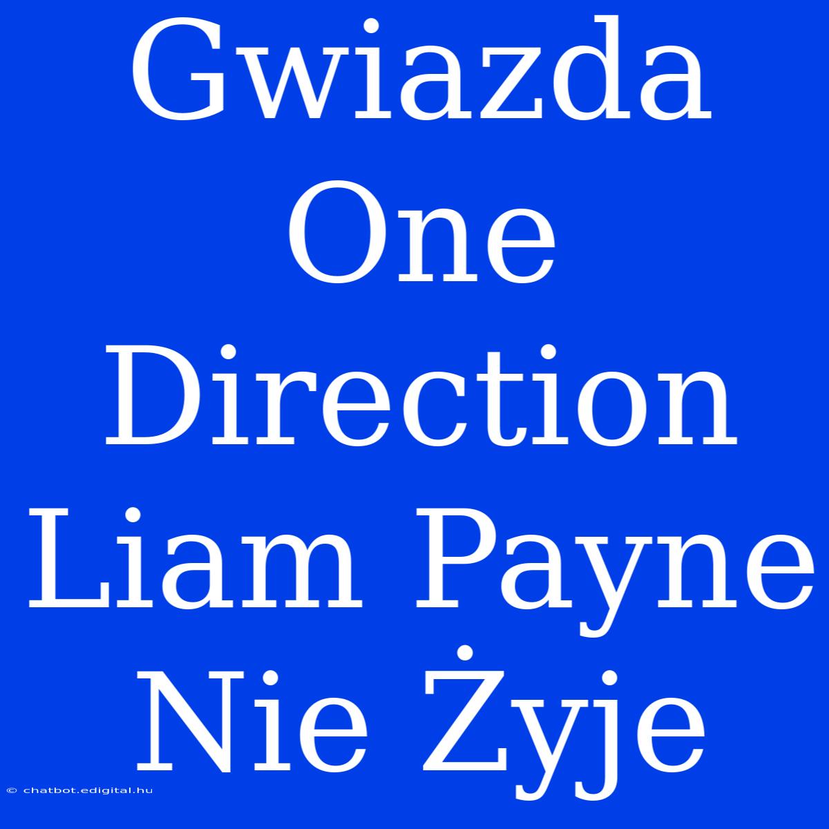 Gwiazda One Direction Liam Payne Nie Żyje