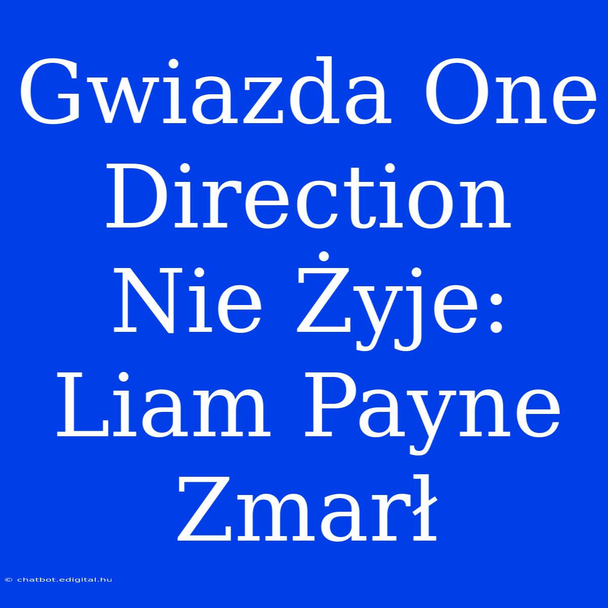 Gwiazda One Direction Nie Żyje: Liam Payne Zmarł