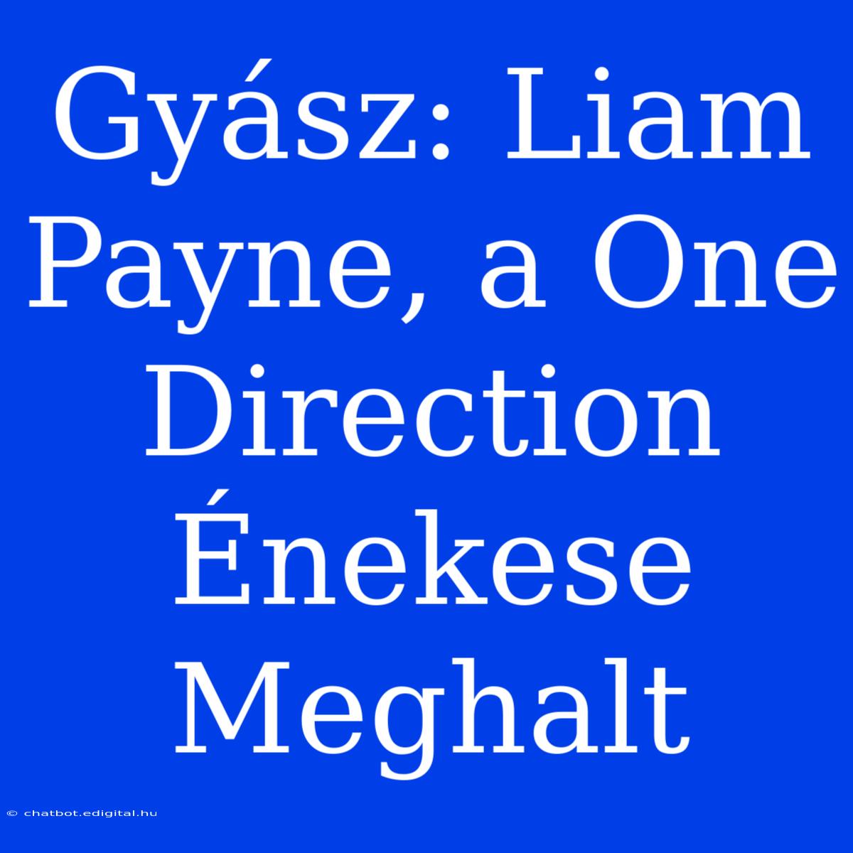 Gyász: Liam Payne, A One Direction Énekese Meghalt