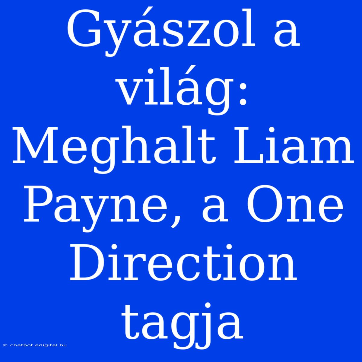 Gyászol A Világ: Meghalt Liam Payne, A One Direction Tagja