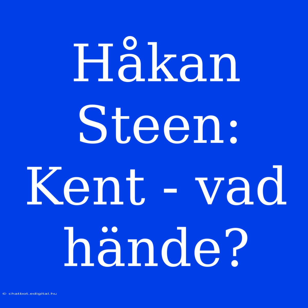 Håkan Steen: Kent - Vad Hände?