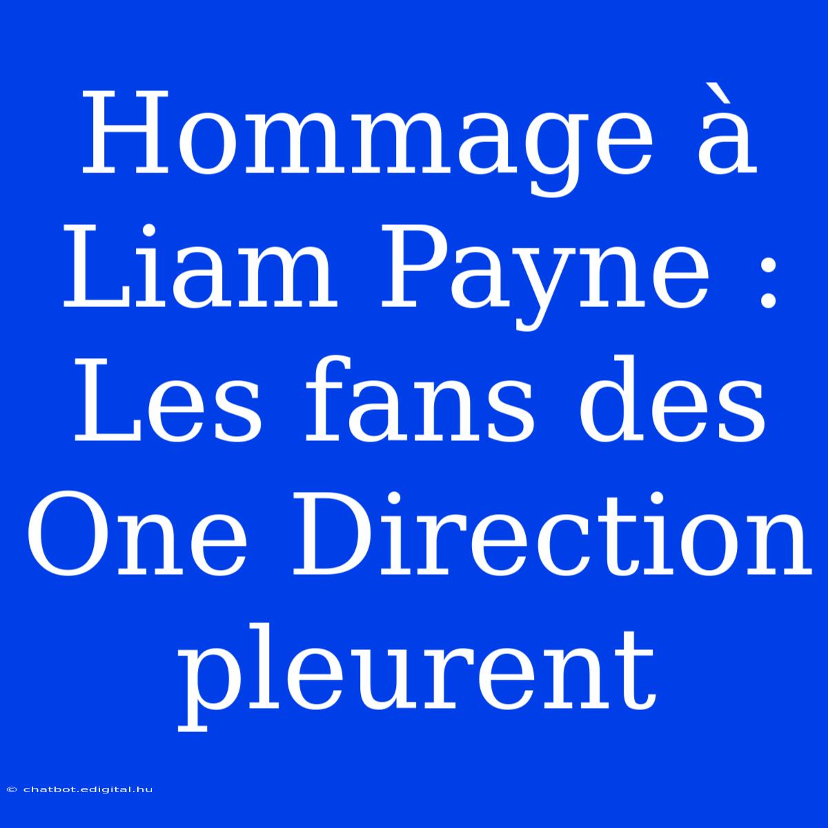 Hommage À Liam Payne : Les Fans Des One Direction Pleurent 