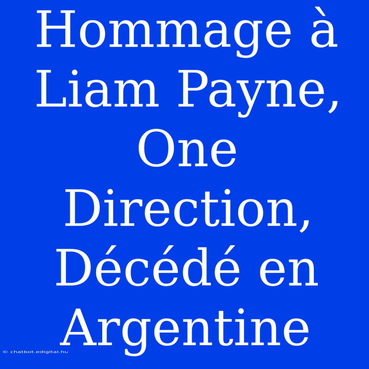 Hommage À Liam Payne, One Direction, Décédé En Argentine