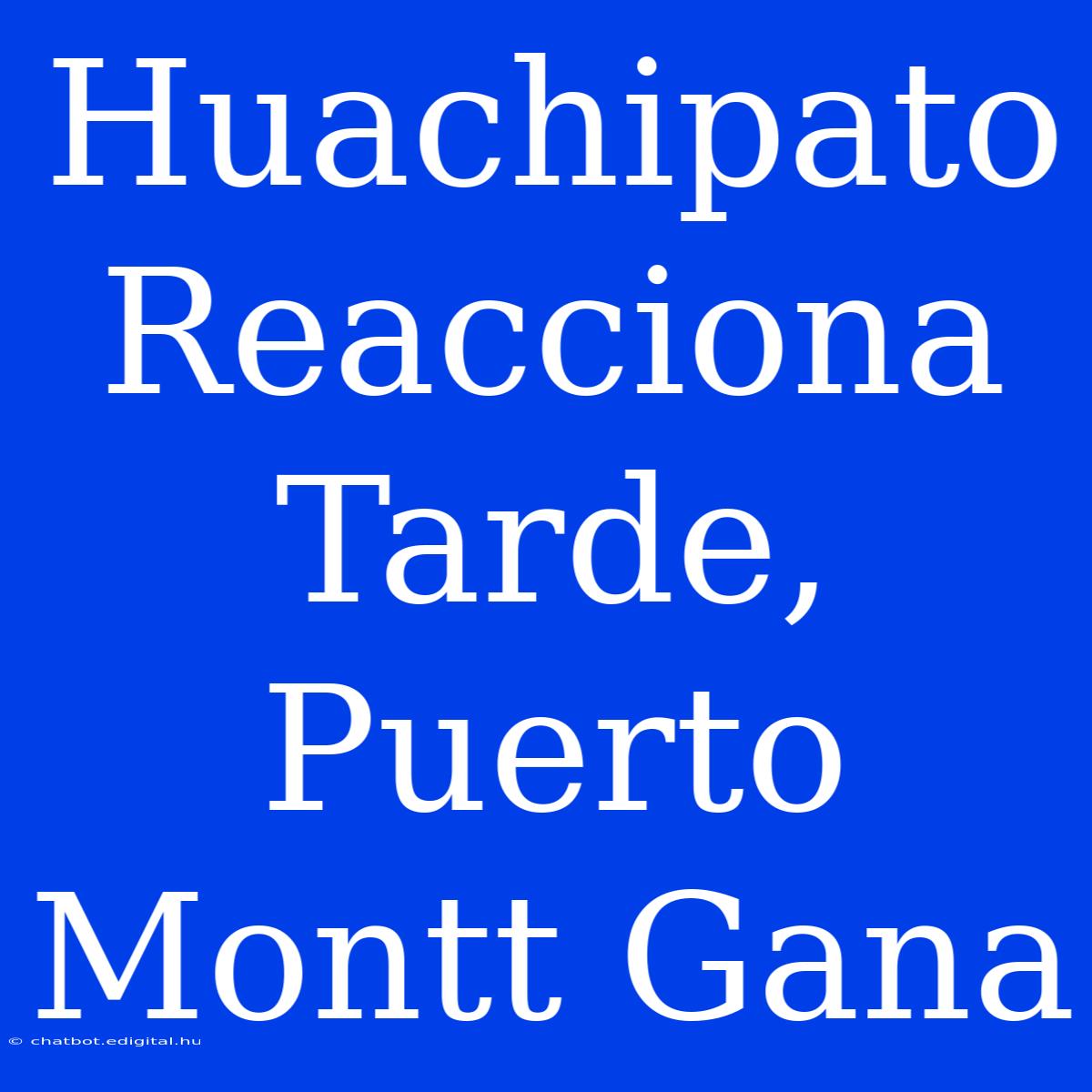 Huachipato Reacciona Tarde, Puerto Montt Gana