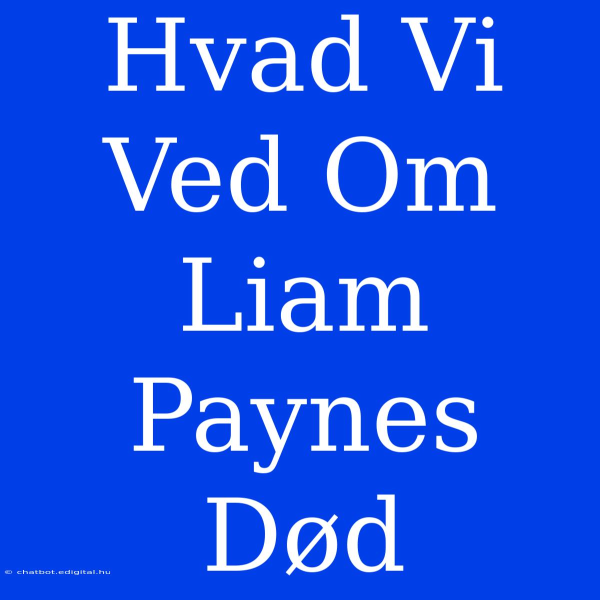 Hvad Vi Ved Om Liam Paynes Død