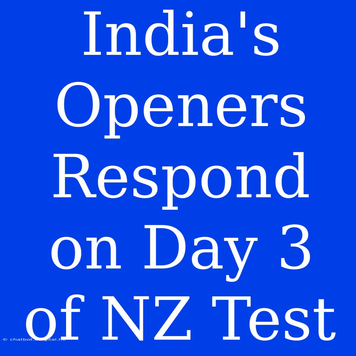 India's Openers Respond On Day 3 Of NZ Test