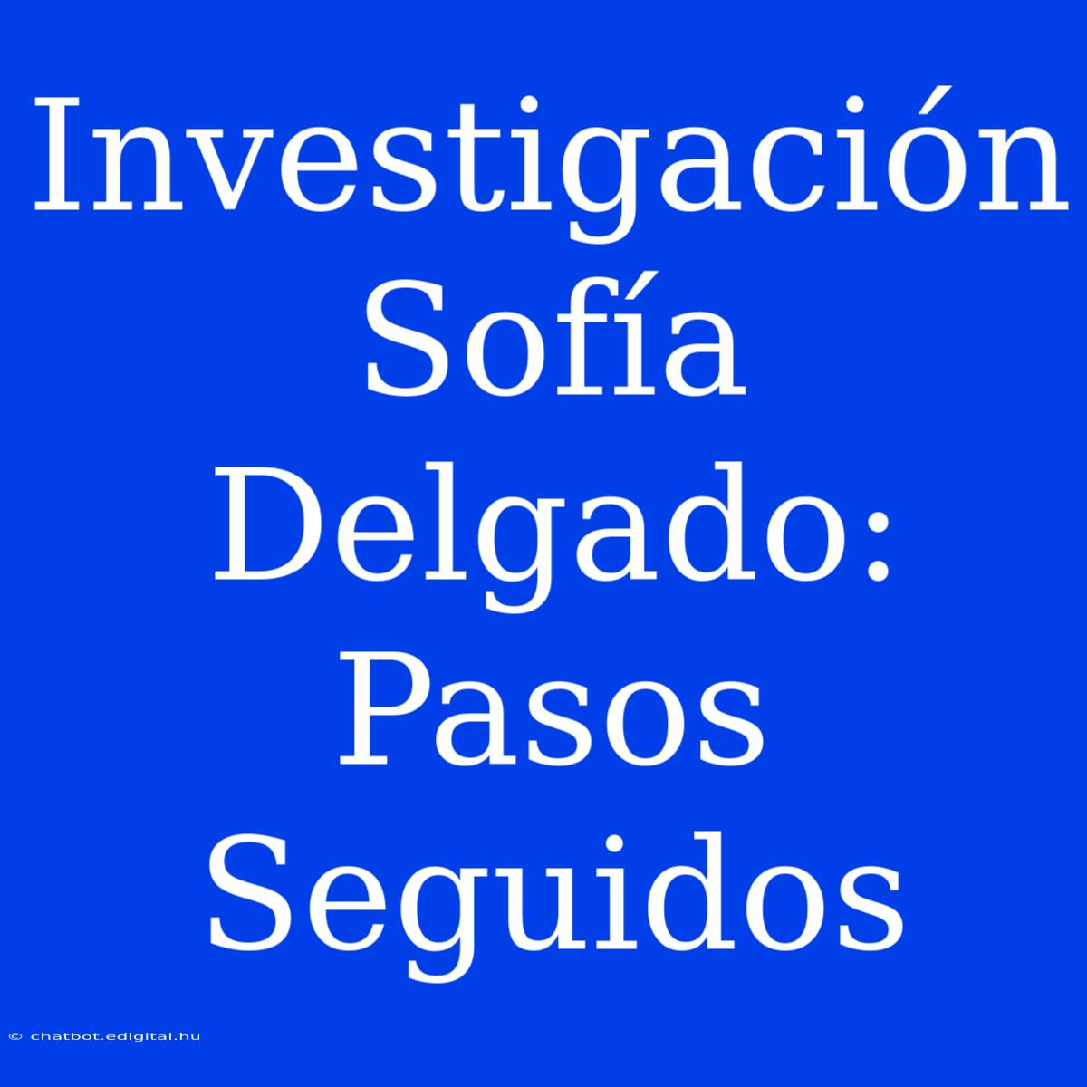 Investigación Sofía Delgado: Pasos Seguidos