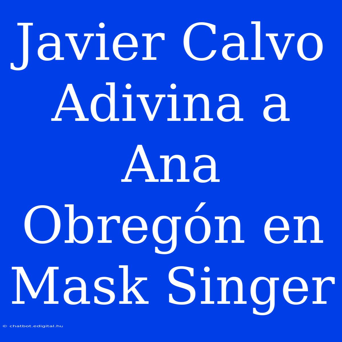 Javier Calvo Adivina A Ana Obregón En Mask Singer