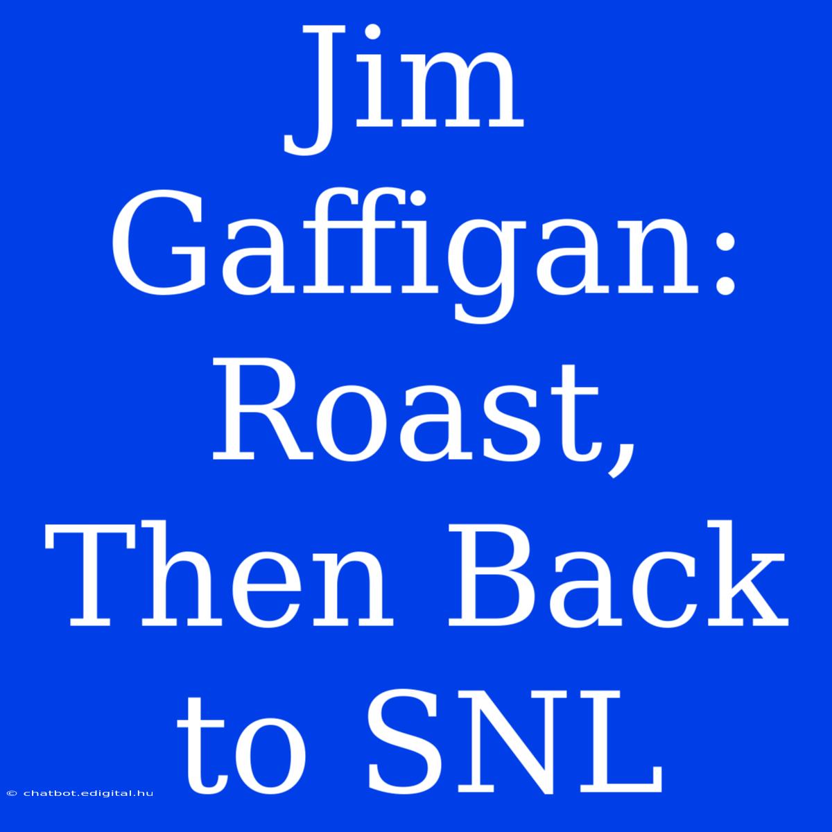 Jim Gaffigan: Roast, Then Back To SNL