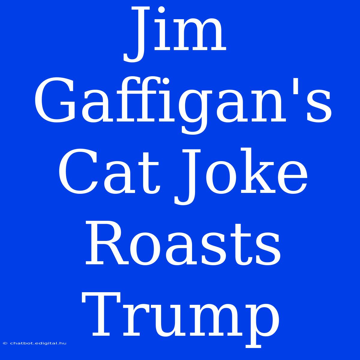 Jim Gaffigan's Cat Joke Roasts Trump