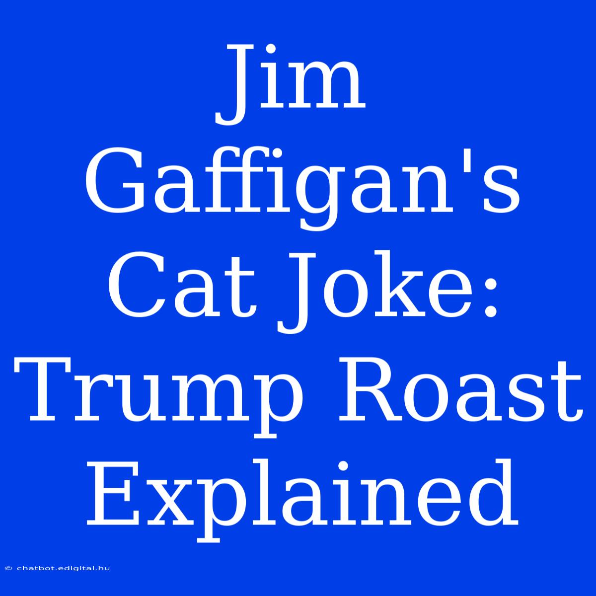 Jim Gaffigan's Cat Joke: Trump Roast Explained