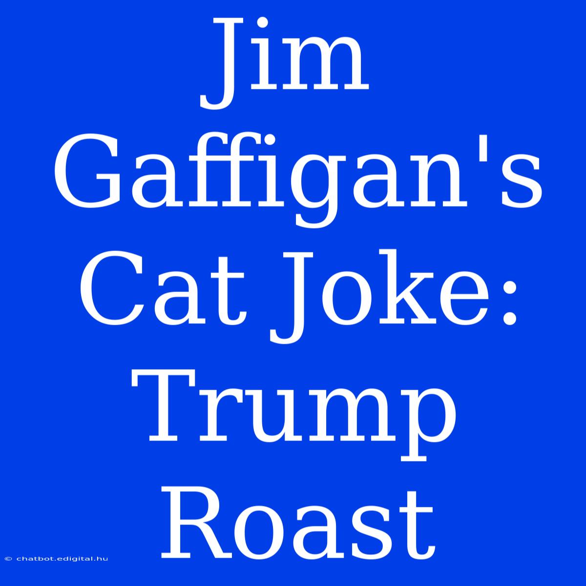 Jim Gaffigan's Cat Joke: Trump Roast