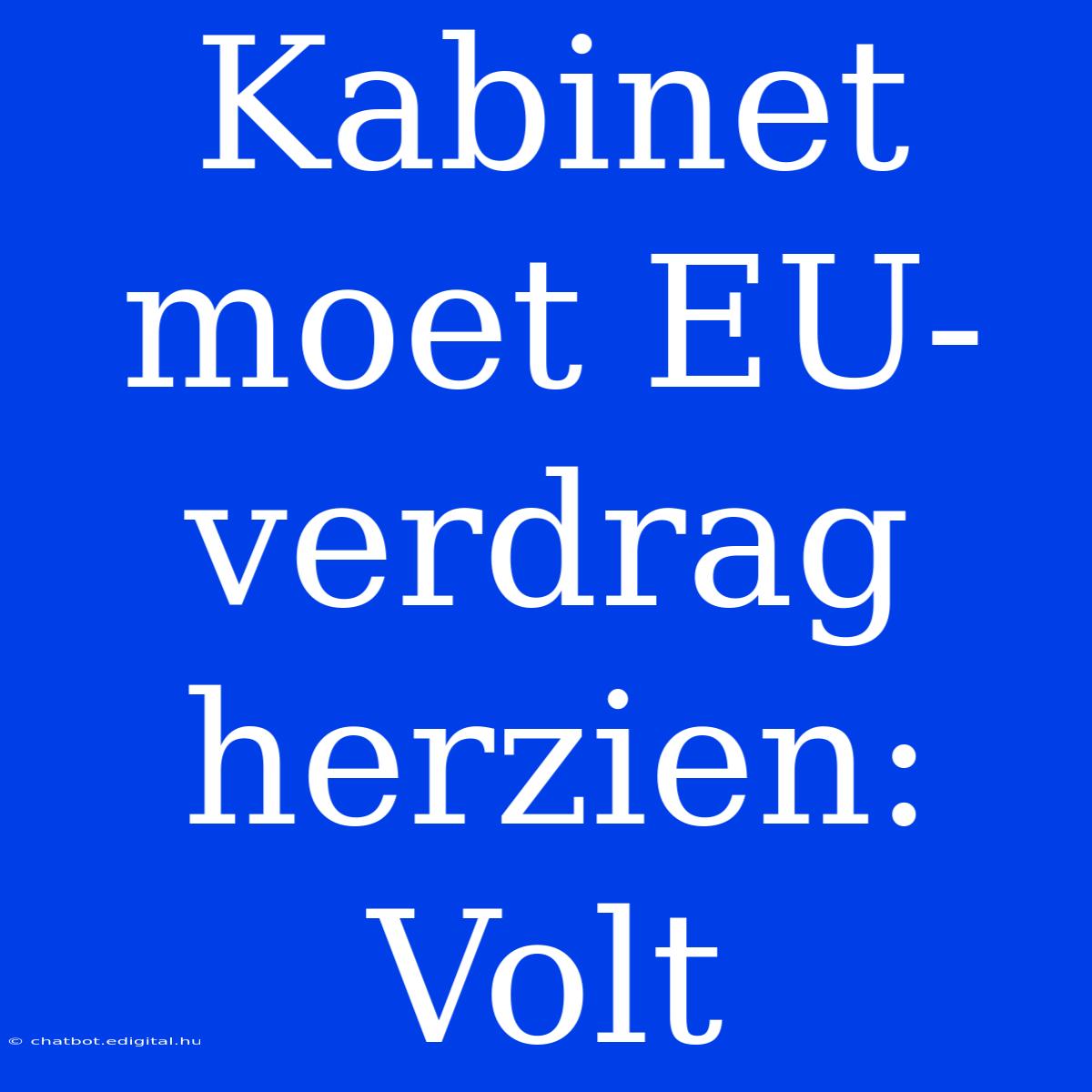 Kabinet Moet EU-verdrag Herzien: Volt